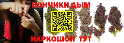 прущие крисы Бийск