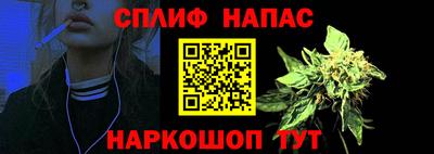прущие крисы Бийск